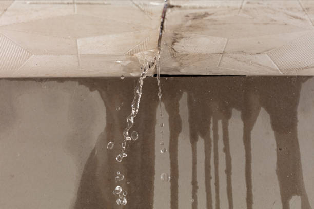 Professional Burst Pipe Cleanup technician working in Harpersville, AL